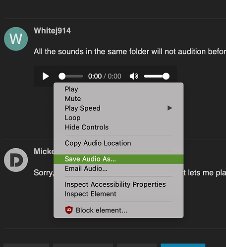 saveaudio